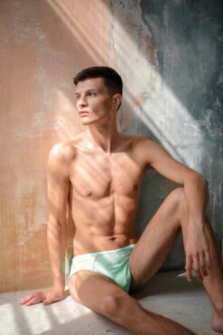 Sway Alton Shorts - Green Aventurine 5 Sway Alton Shorts - Green Aventurine -Famous Boot Store DSC 4060